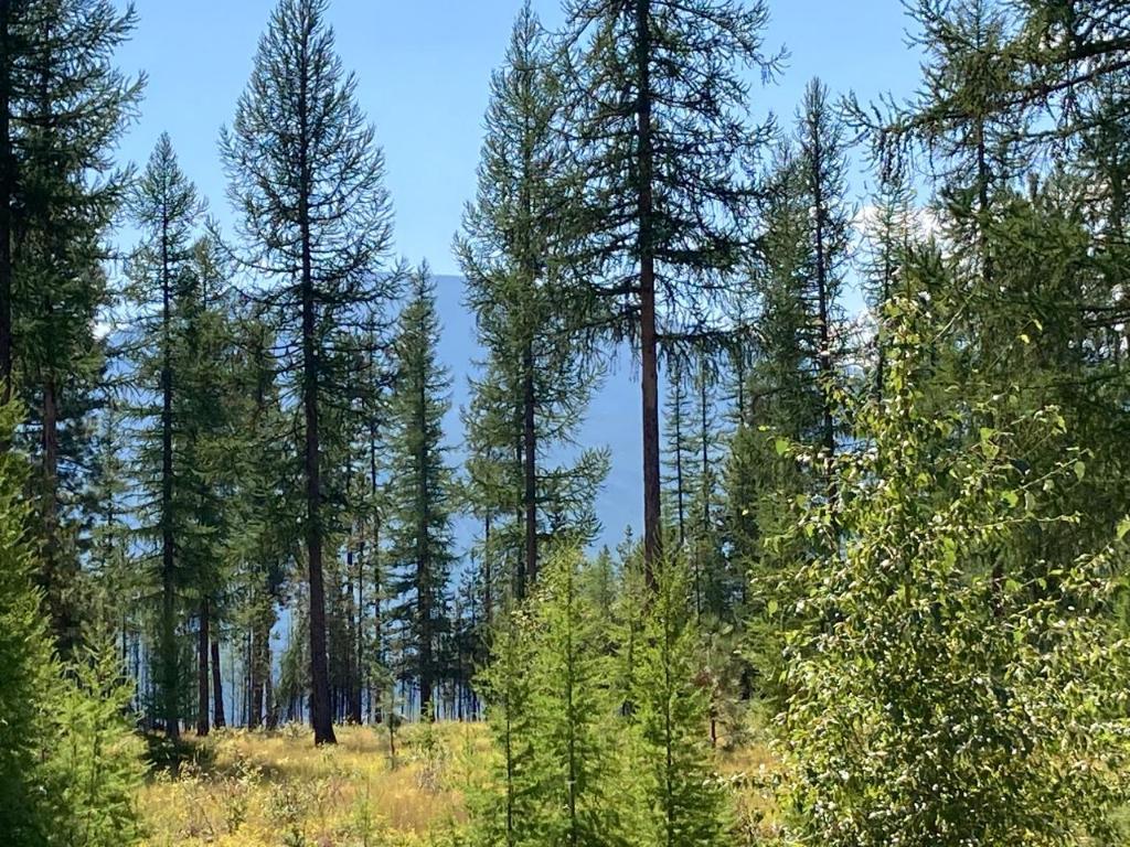 









115


Ponderosa

Point,
Kimberley,







BC
V1A 0A5

