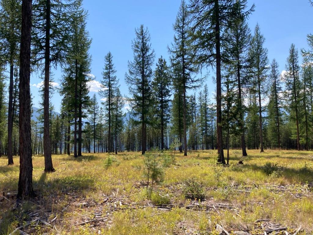 









115


Ponderosa

Point,
Kimberley,







BC
V1A 0A5

