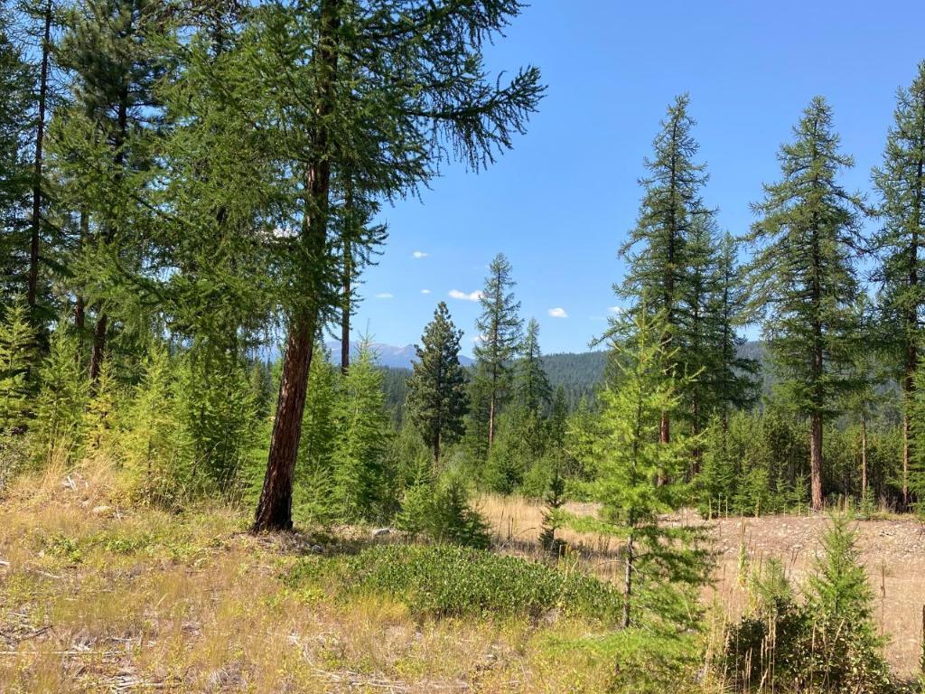 









115


Ponderosa

Point,
Kimberley,







BC
V1A 0A5

