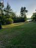 Front yard in summer