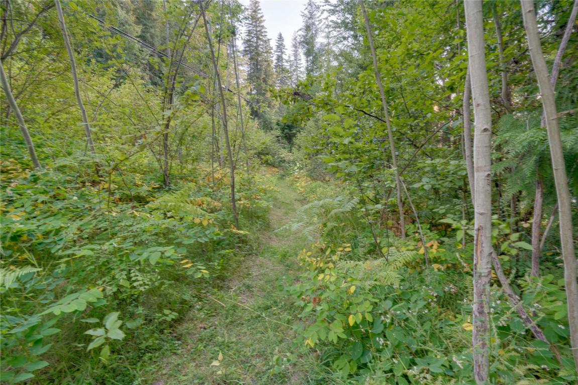 









4265


Eagle Bay

Road,
Eagle Bay,




BC
V0E 1T0

