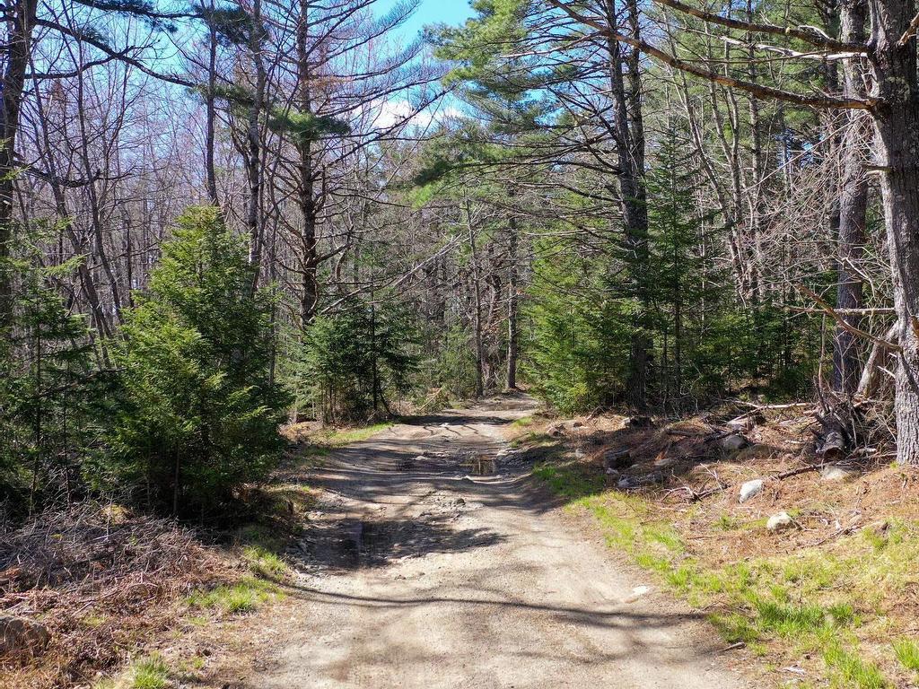 












Brier Hill Road

,
Upper Clyde,







NS
B0T 1W0

