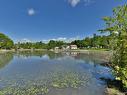Vue sur l'eau