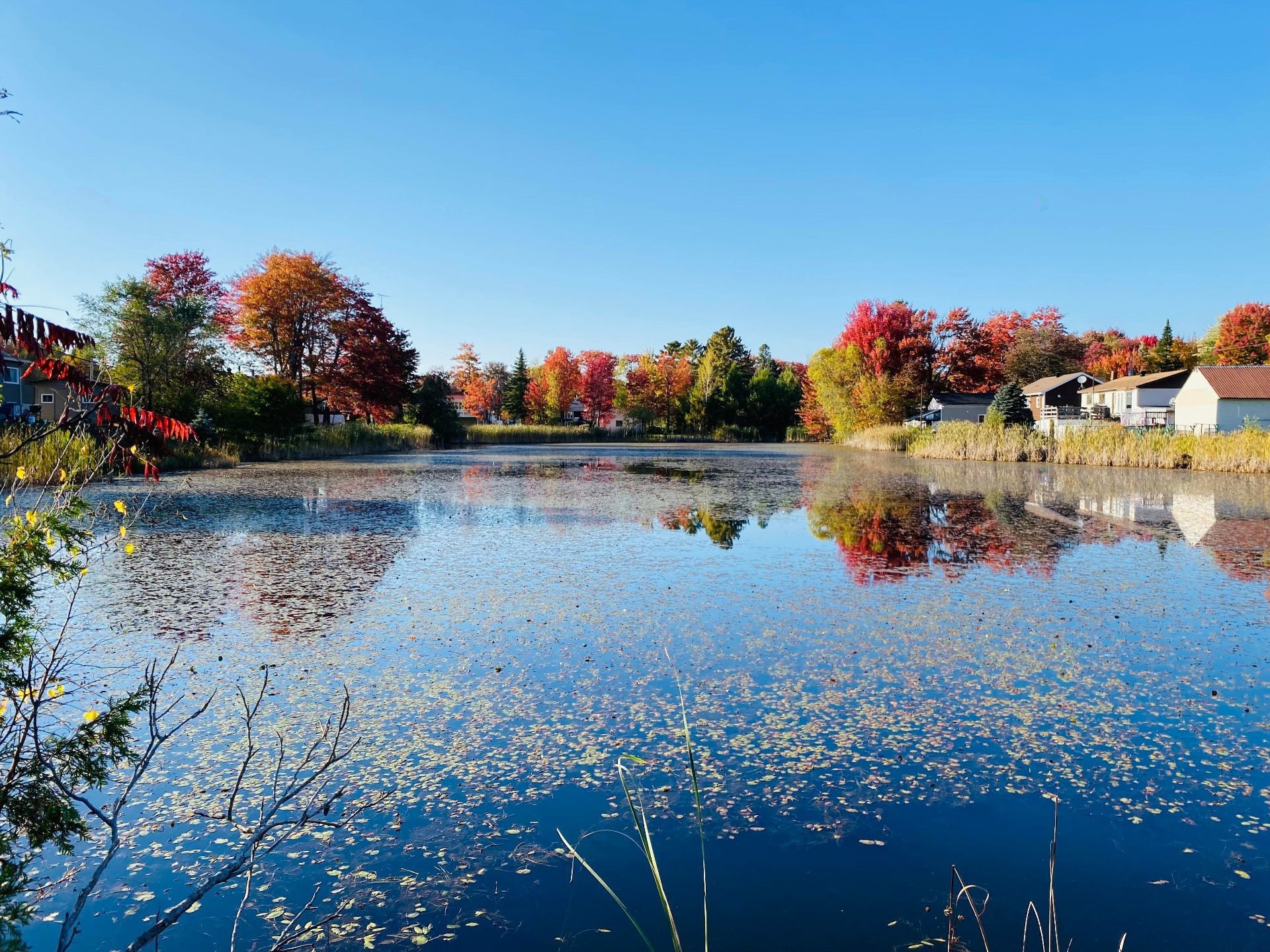 












Rue Pierre

,
Saint-Lin/Laurentides,







QC
J5M1V9

