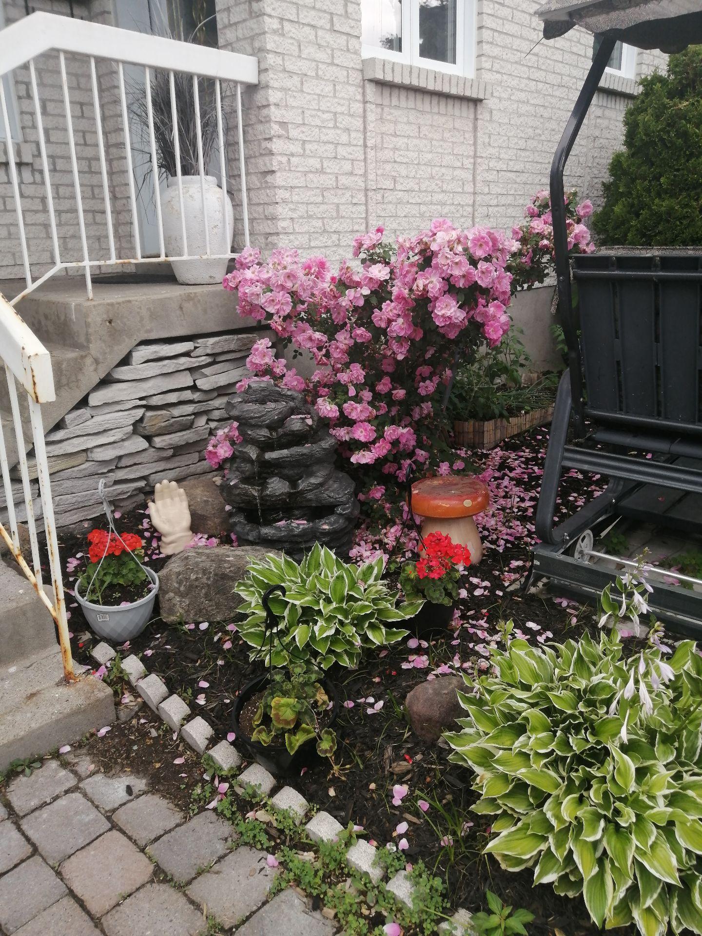 









979


Rue Notre-Dame

,
Repentigny (Repentigny),




QC
J5Y1C9

