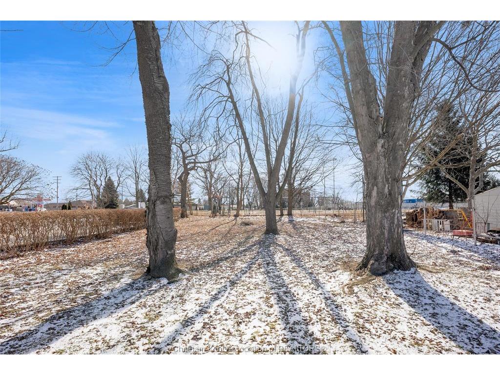 









24


Regent

Street,
Blenheim,




ON
N0P 1A0

