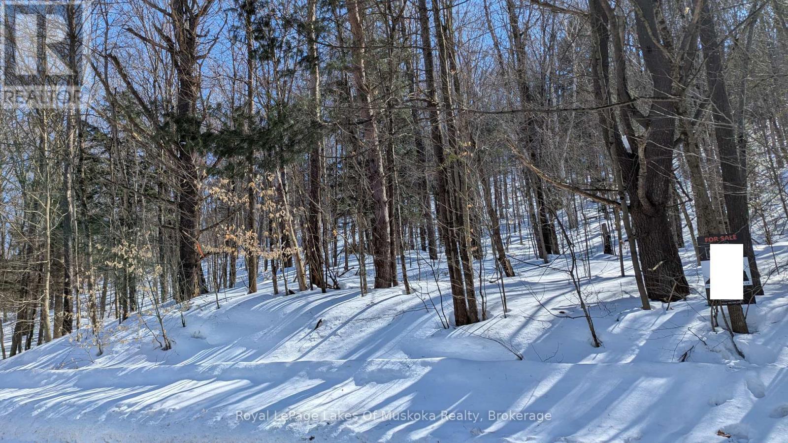 












0 ROSSEAU LAKE RD 1

,
Muskoka Lakes (Watt),







Ontario
P0B1M0

