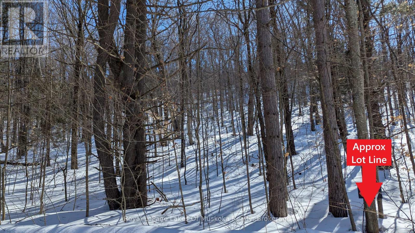 












0 ROSSEAU LAKE RD 1

,
Muskoka Lakes (Watt),







Ontario
P0B1M0

