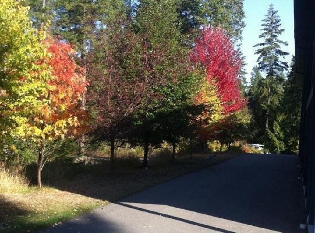 









2037


Hunter Frontage

Road,
Christina Lake,




BC
V0H 1E2


