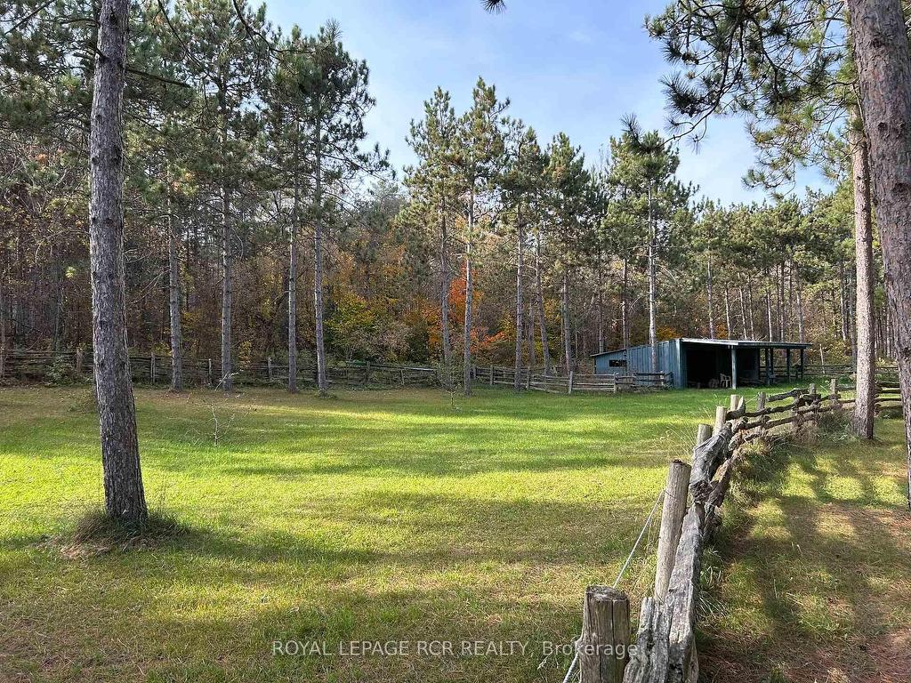 









708321


County Rd 21

N/A,
Mulmur,




ON
L9V 0X3

