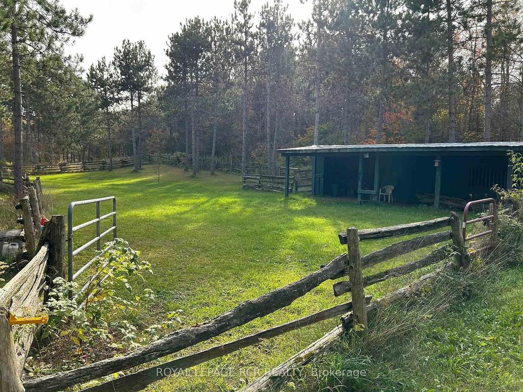 









708321


County Rd 21

N/A,
Mulmur,




ON
L9V 0X3

