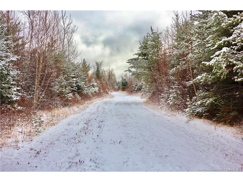 









50


Chemin Duval

,
Petit-Paquetville,




NB
E8R 2C7

