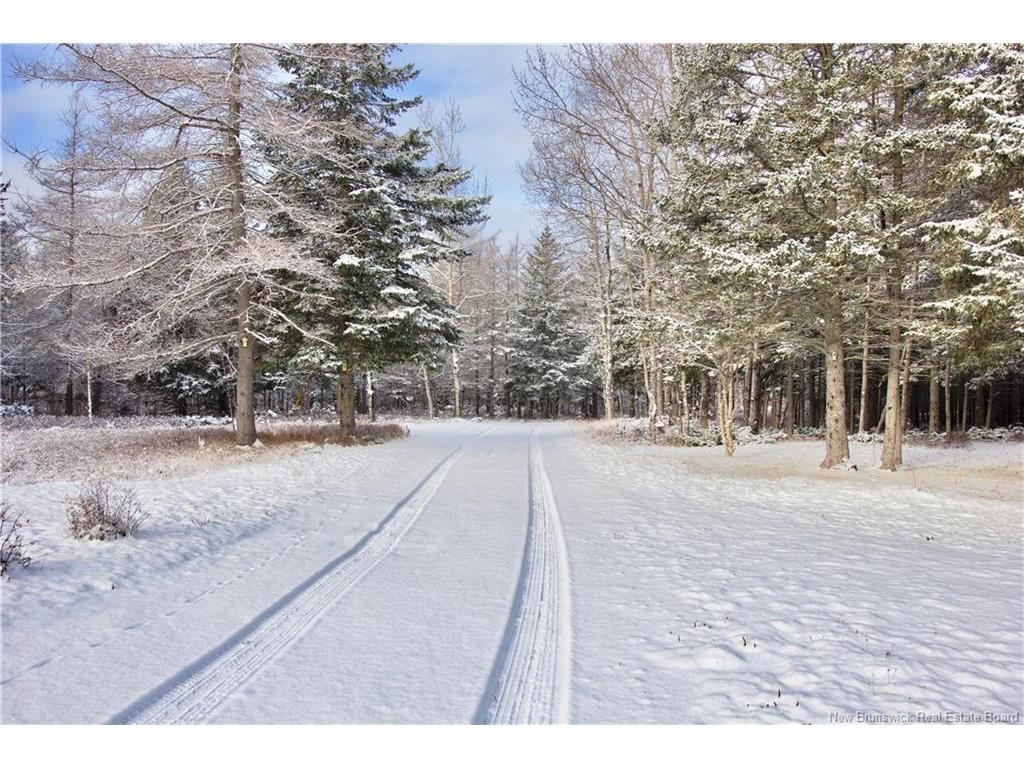 









50


Chemin Duval

,
Petit-Paquetville,




NB
E8R 2C7

