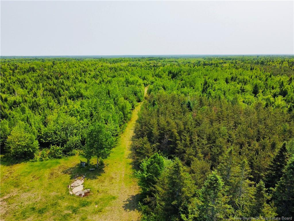 









50


Chemin Duval

,
Petit-Paquetville,




NB
E8R 2C7

