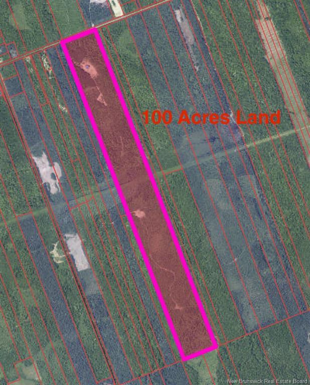 









50


Chemin Duval

,
Petit-Paquetville,




NB
E8R 2C7

