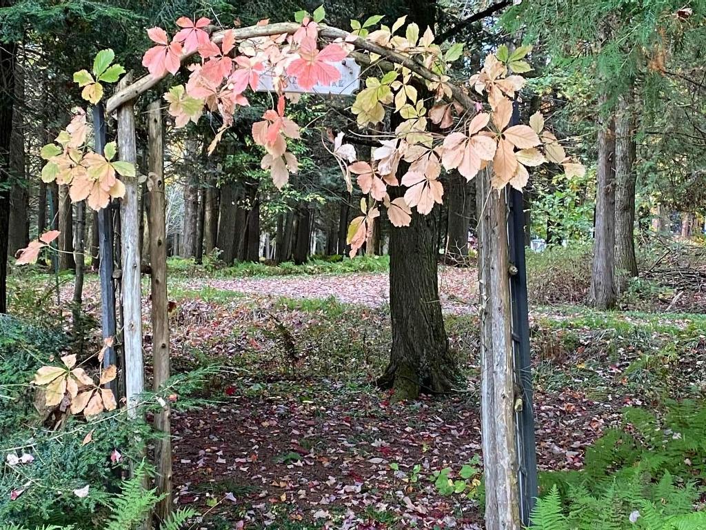 









648


Ch. du Bocage

,
Béthanie,




QC
J0E2L1

