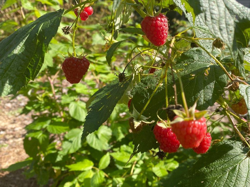 









648


Ch. du Bocage

,
Béthanie,




QC
J0E2L1

