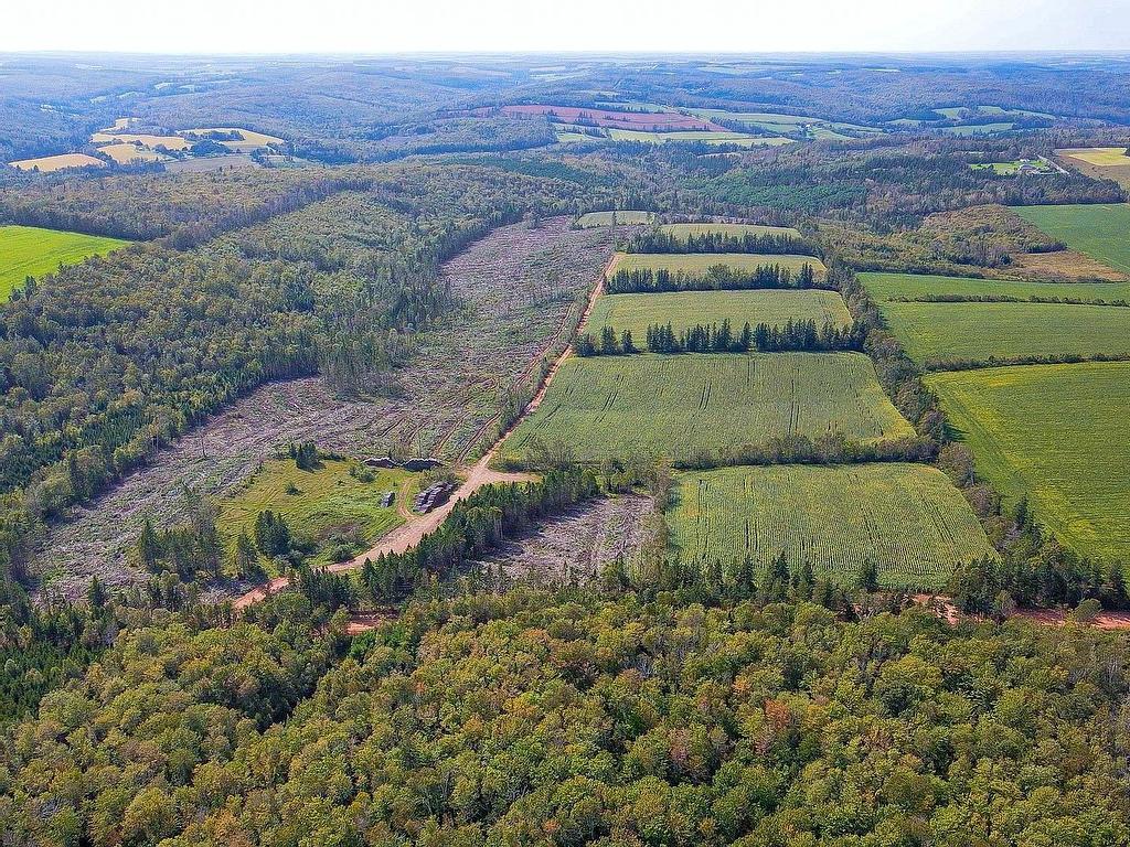 












Acreage St. Patrick's Road

,
New Glasgow,







PE
C0A 1N0

