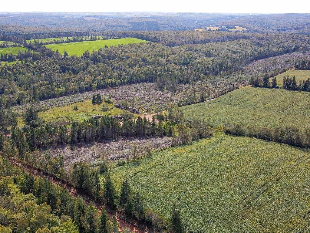 












Acreage St. Patrick's Road

,
New Glasgow,







PE
C0A 1N0

