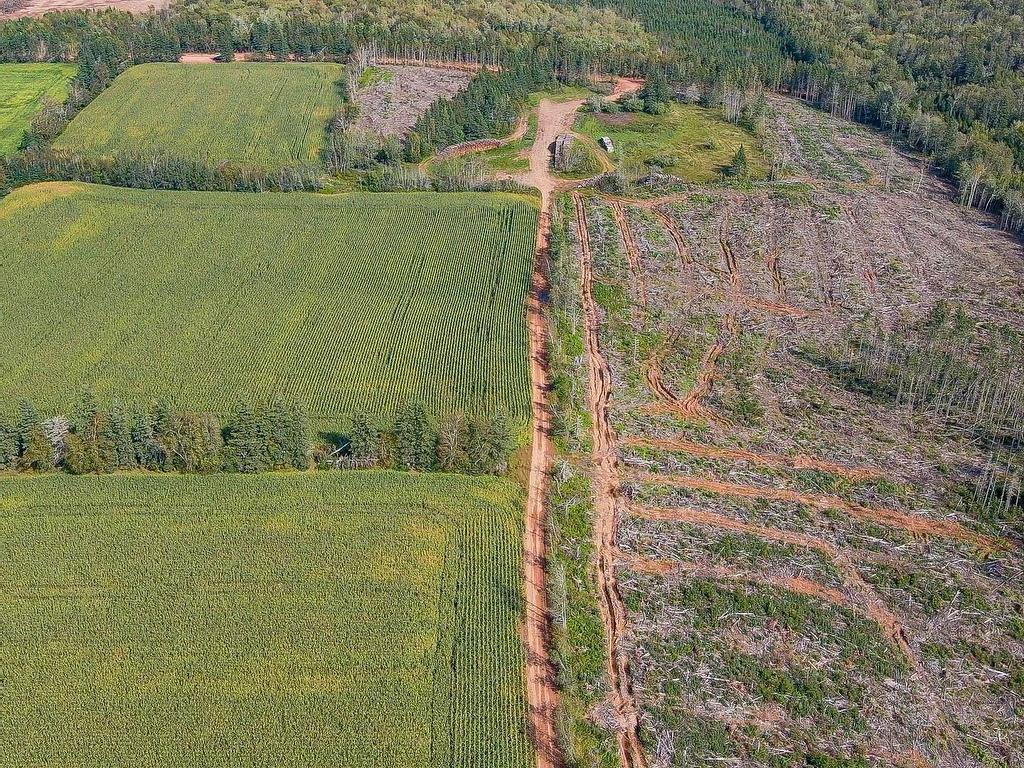 












Acreage St. Patrick's Road

,
New Glasgow,







PE
C0A 1N0

