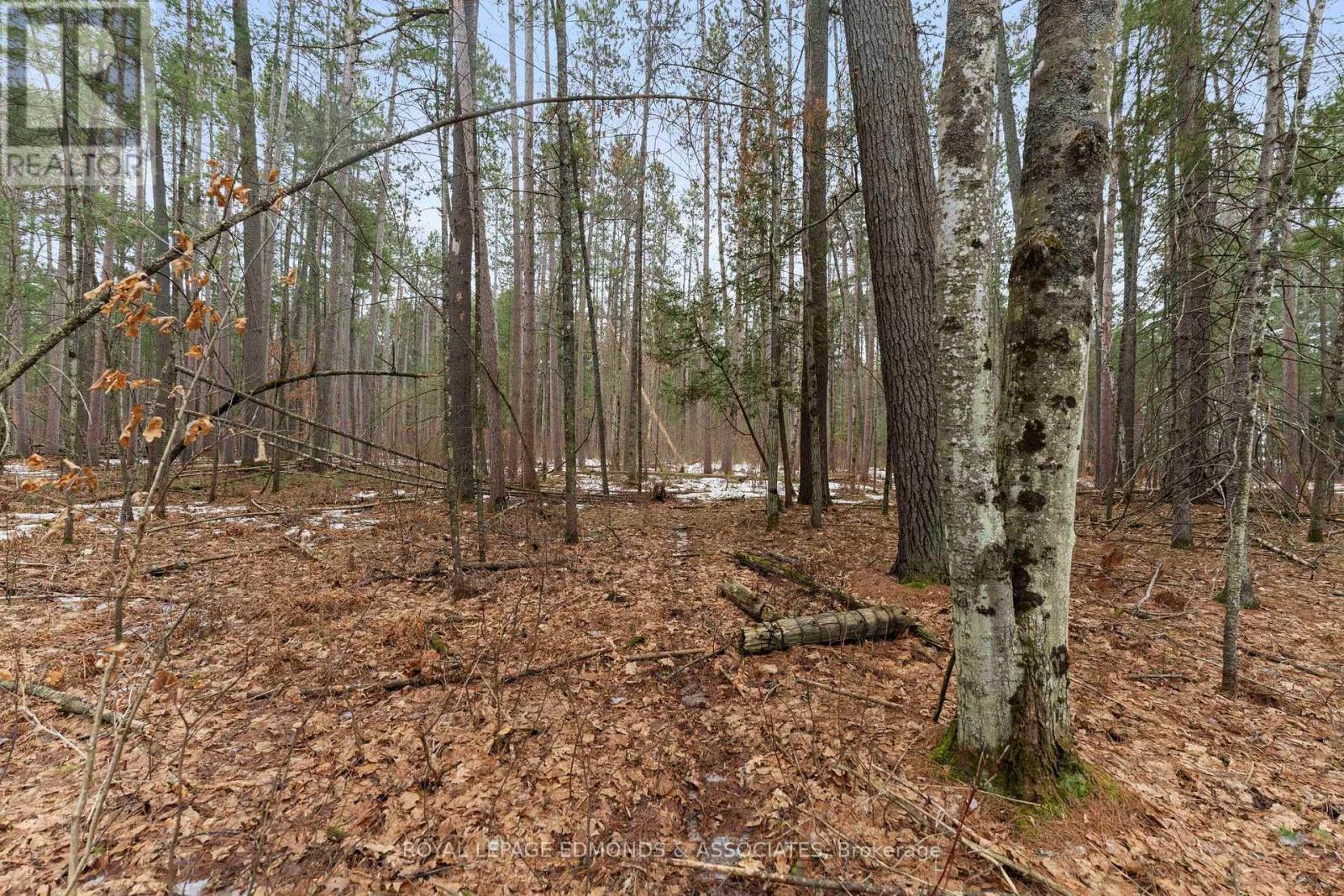 












PT 1 LAKE DORE ROAD

,
North Algona Wilberforce,







Ontario
K0J1X0

