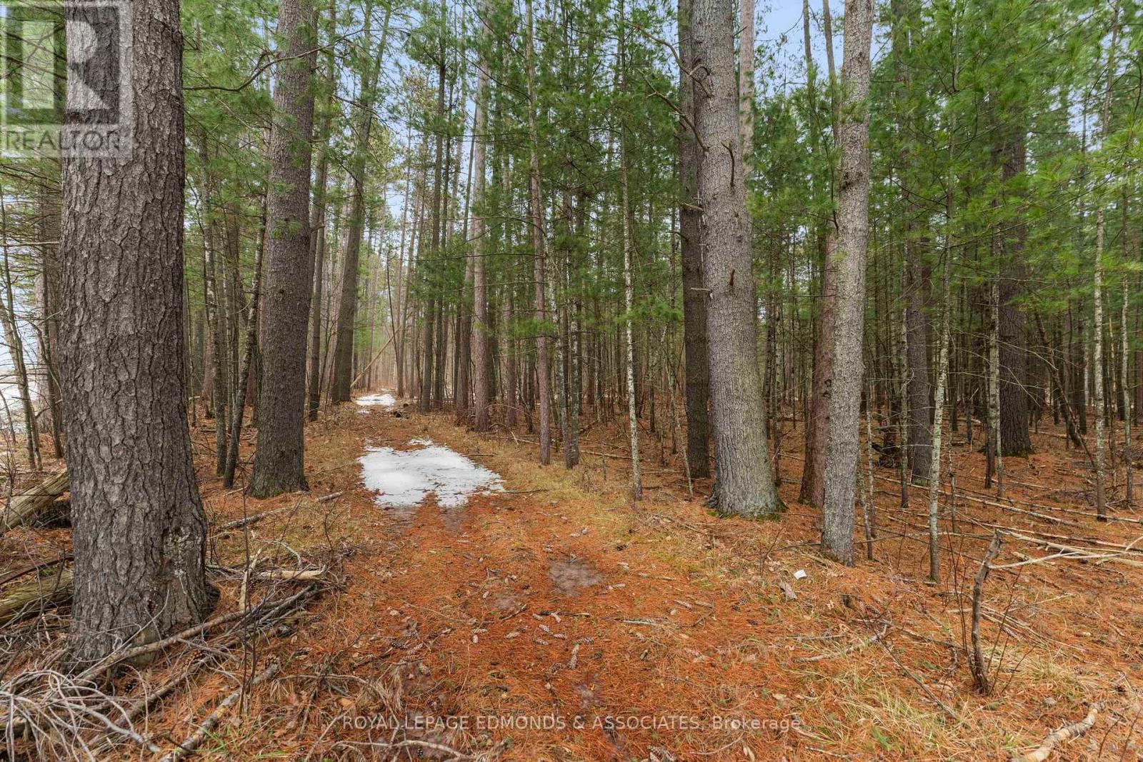












PT 1 LAKE DORE ROAD

,
North Algona Wilberforce,







Ontario
K0J1X0

