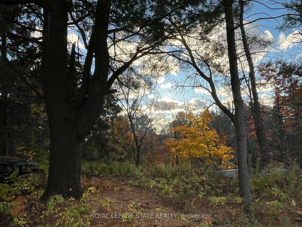 









300


Manitoba

Street,
Bracebridge,




ON
P1L 2C9

