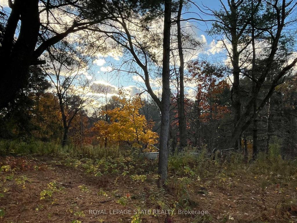 









300


Manitoba

Street,
Bracebridge,




ON
P1L 2C9

