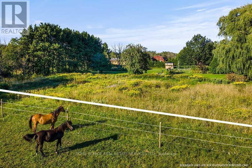 












7011 HIGHWAY 6 HIGHWAY

,
Northern Bruce Peninsula,




Ontario
N0H2R0

