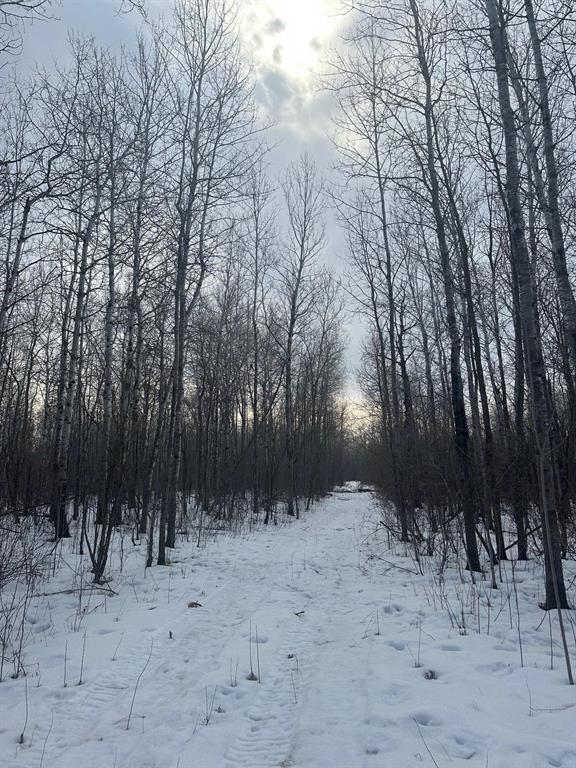












,
La Broquerie,







Manitoba
R0A0W0

