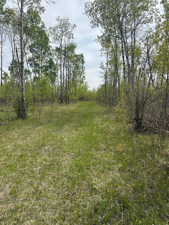 












,
La Broquerie,







Manitoba
R0A0W0

