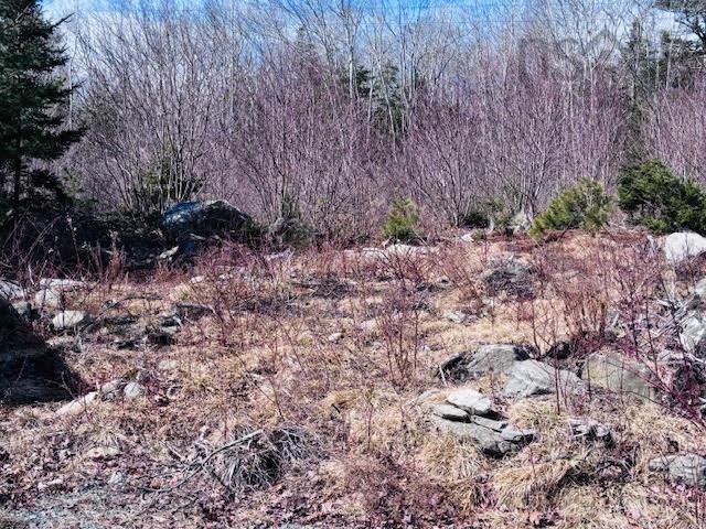 












8494 Highway 3

,
Port Mouton,







NS
B0T 1T0

