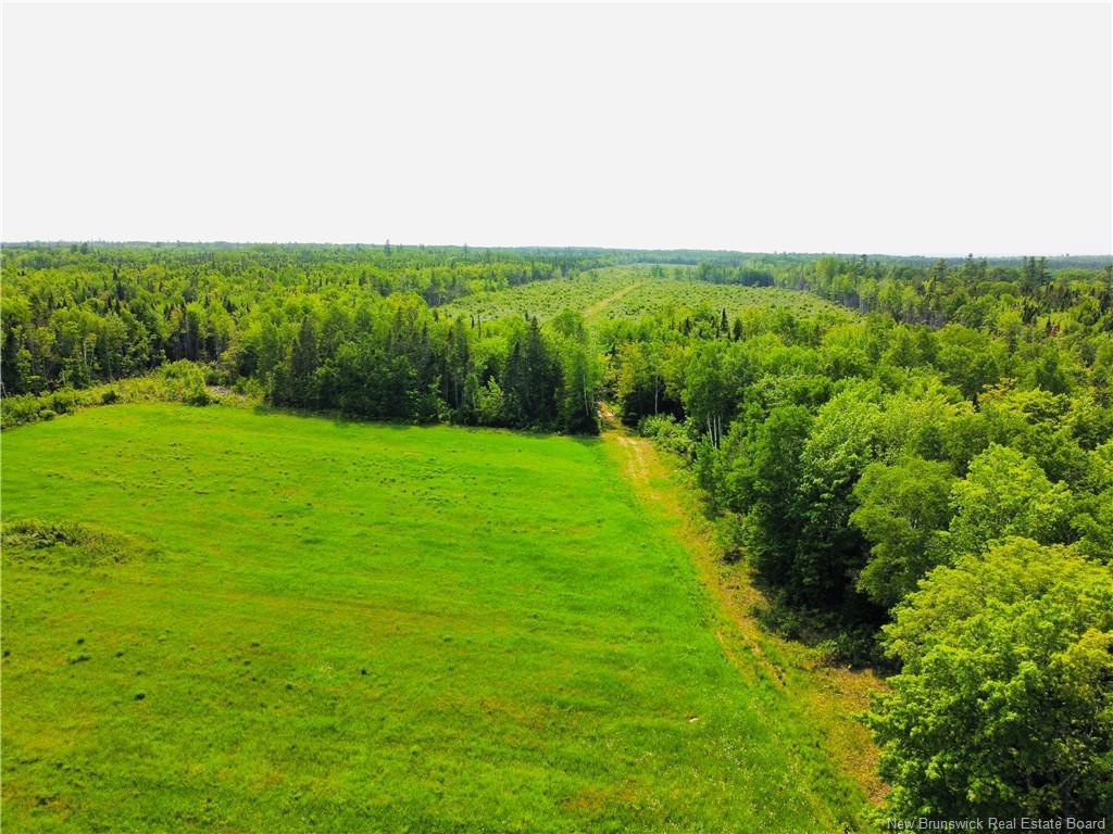 









-


Route 340

,
New Bandon,







NB
E2A 5E7

