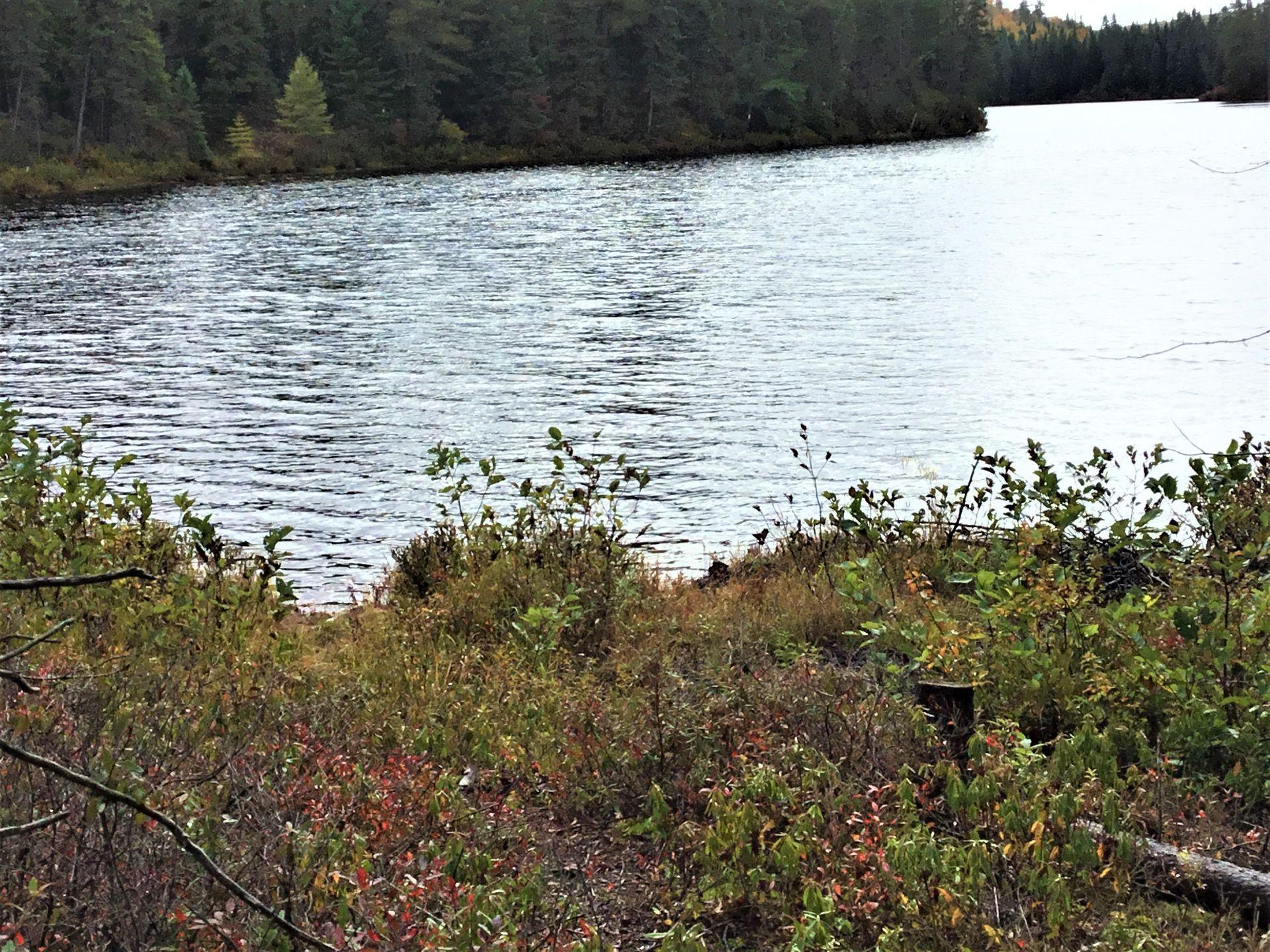 









242


Ch. du Lac-Lusignan

,
Saint-Guillaume-Nord,




QC
J0K3B0

