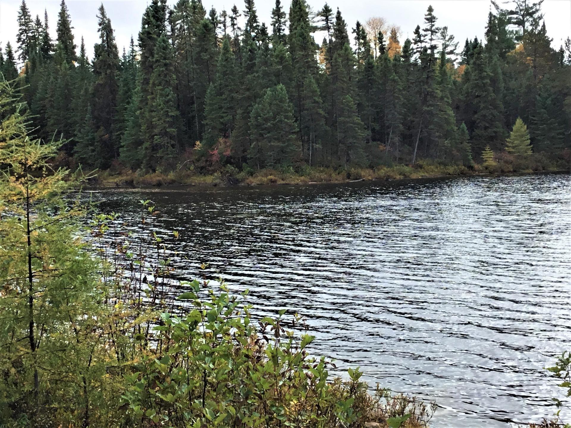 









242


Ch. du Lac-Lusignan

,
Saint-Guillaume-Nord,




QC
J0K3B0

