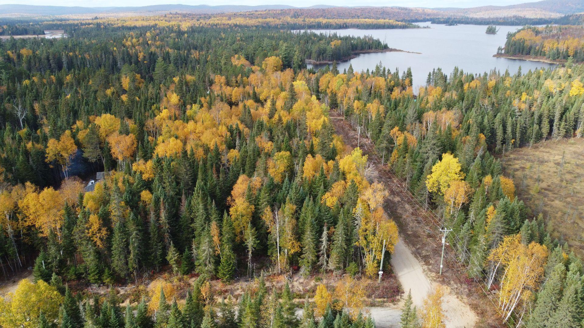









242


Ch. du Lac-Lusignan

,
Saint-Guillaume-Nord,




QC
J0K3B0

