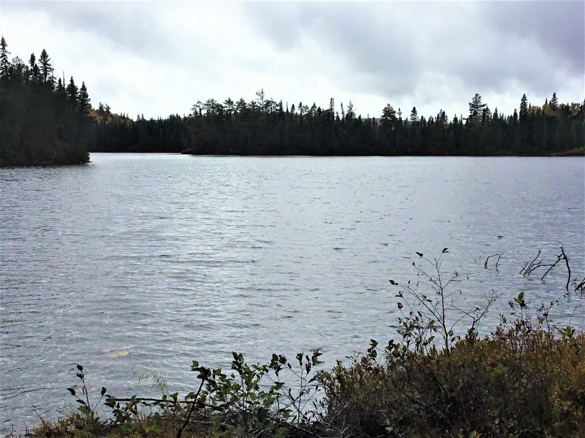 









242


Ch. du Lac-Lusignan

,
Saint-Guillaume-Nord,




QC
J0K3B0

