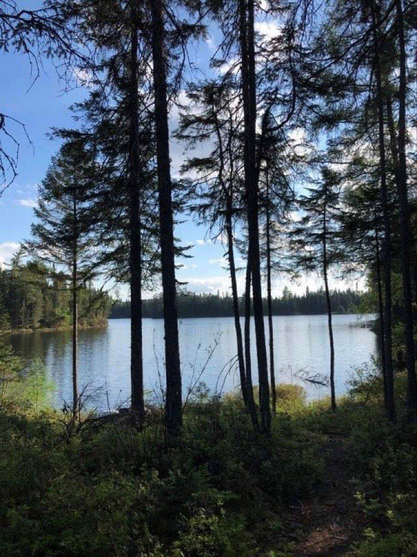 









242


Ch. du Lac-Lusignan

,
Saint-Guillaume-Nord,




QC
J0K3B0

