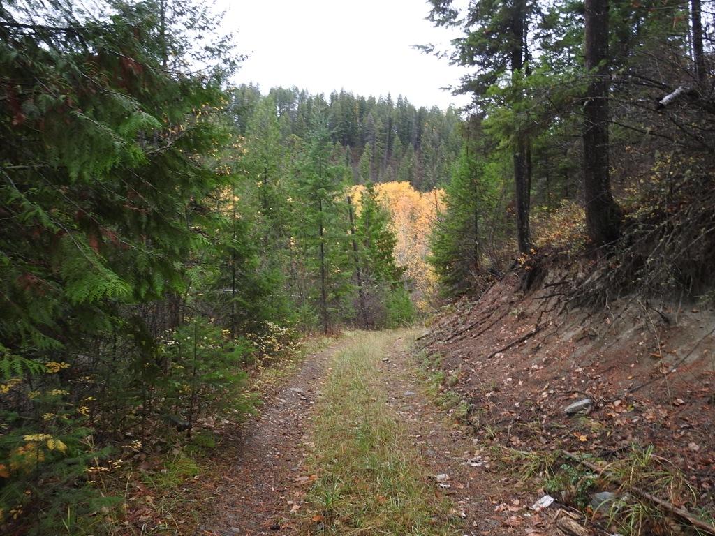 









144 Acres


South Fork

Road,
Cherryville,







BC
V0E 2G3

