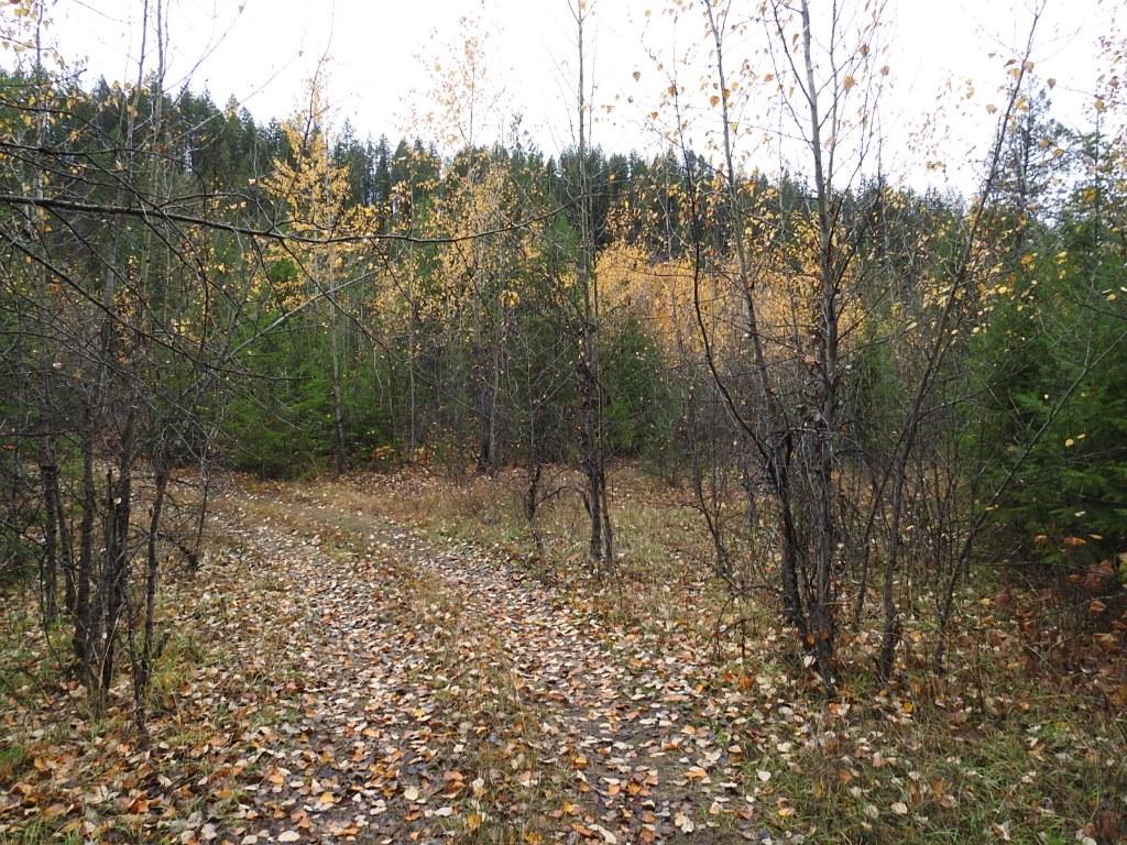 









144 Acres


South Fork

Road,
Cherryville,







BC
V0E 2G3

