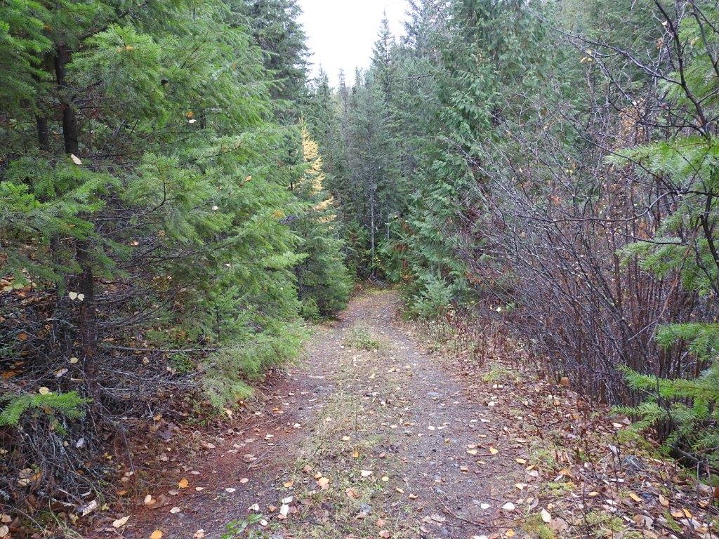 









144 Acres


South Fork

Road,
Cherryville,







BC
V0E 2G3

