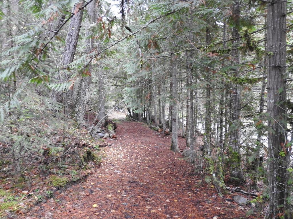 









144 Acres


South Fork

Road,
Cherryville,







BC
V0E 2G3

