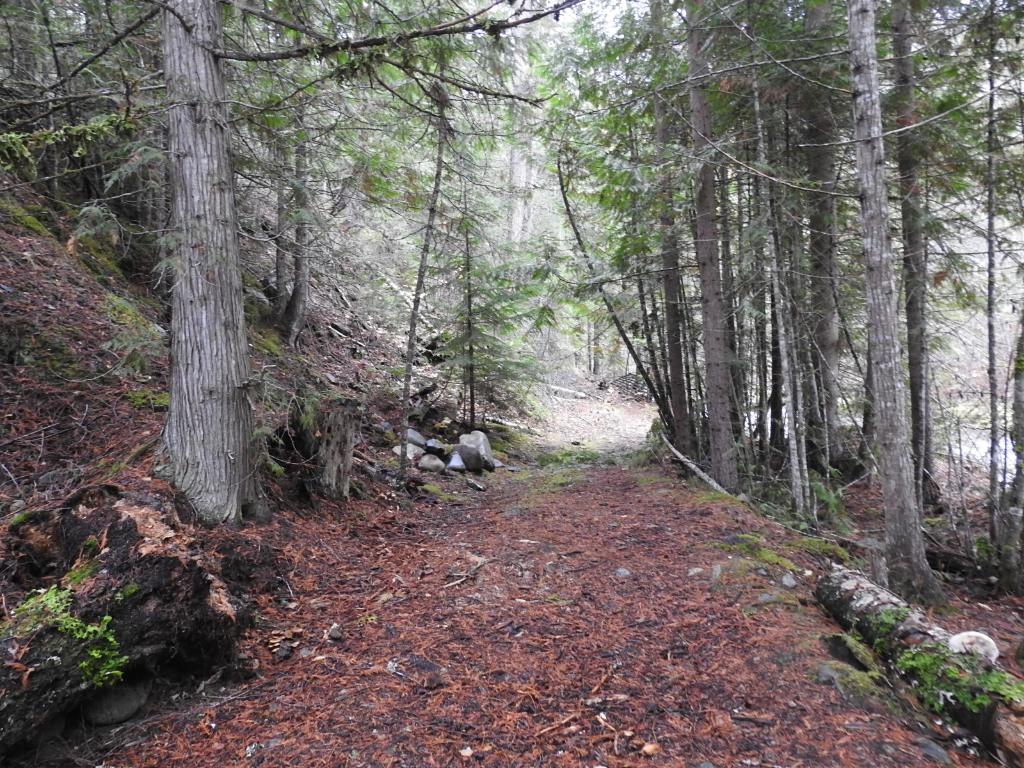 









144 Acres


South Fork

Road,
Cherryville,







BC
V0E 2G3

