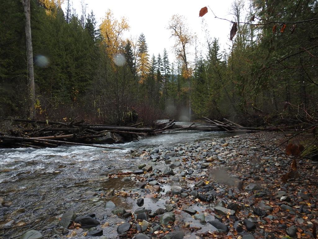 









144 Acres


South Fork

Road,
Cherryville,







BC
V0E 2G3

