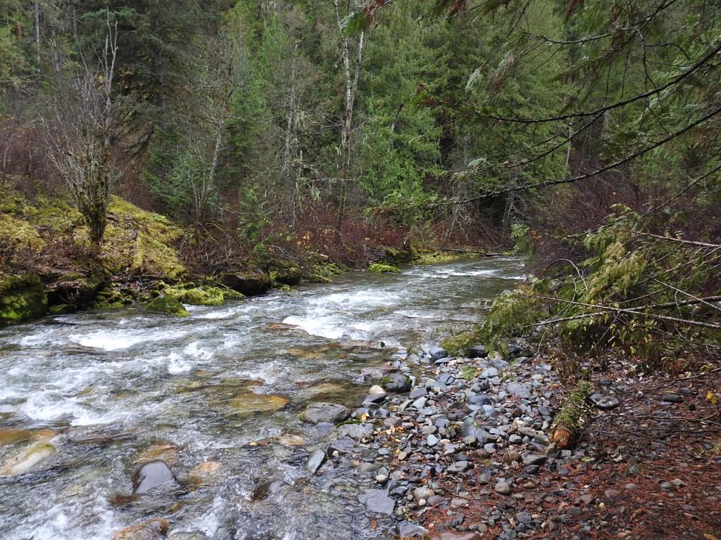 









144 Acres


South Fork

Road,
Cherryville,







BC
V0E 2G3

