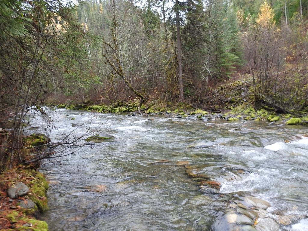 









144 Acres


South Fork

Road,
Cherryville,







BC
V0E 2G3

