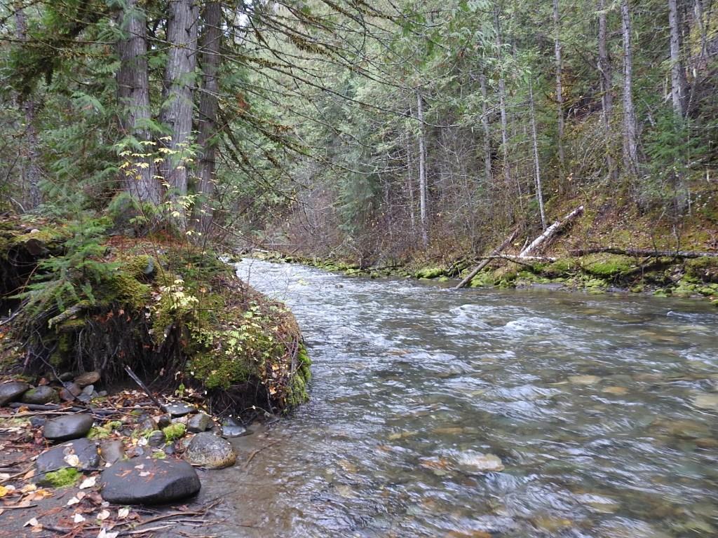 









144 Acres


South Fork

Road,
Cherryville,







BC
V0E 2G3

