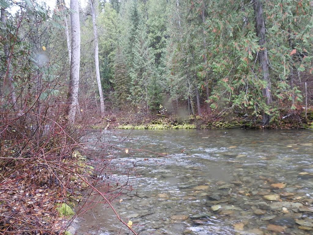 









144 Acres


South Fork

Road,
Cherryville,







BC
V0E 2G3

