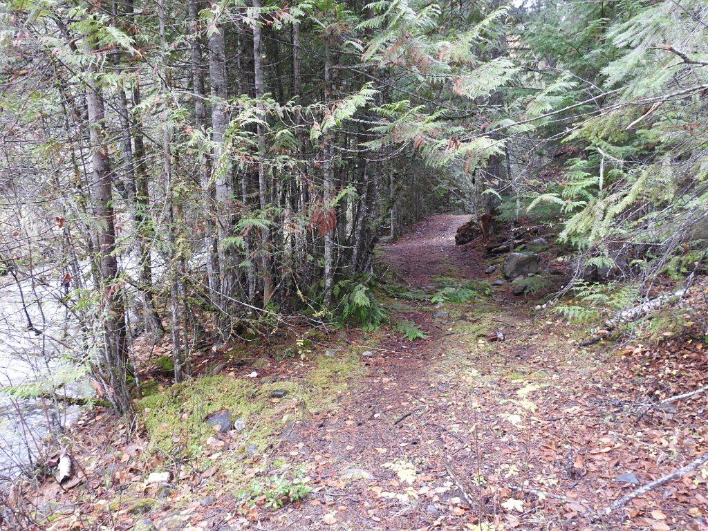 









144 Acres


South Fork

Road,
Cherryville,







BC
V0E 2G3

