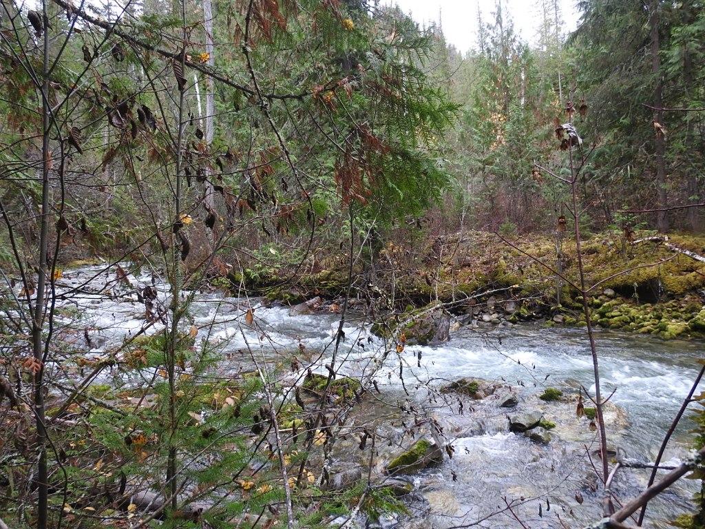 









144 Acres


South Fork

Road,
Cherryville,







BC
V0E 2G3

